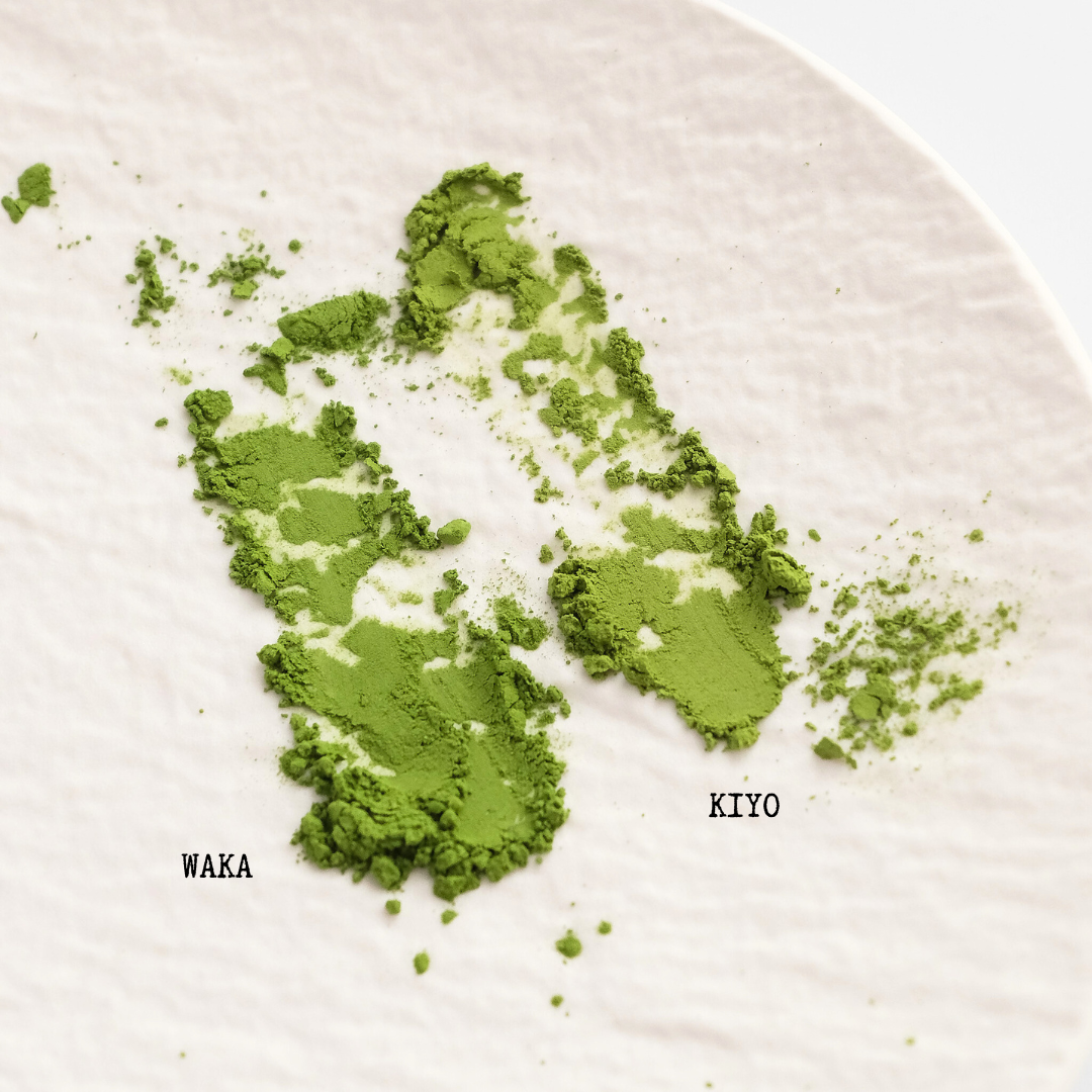 Matcha Kudasai Ceremonial Matcha Trial Set - KIYO and WAKA