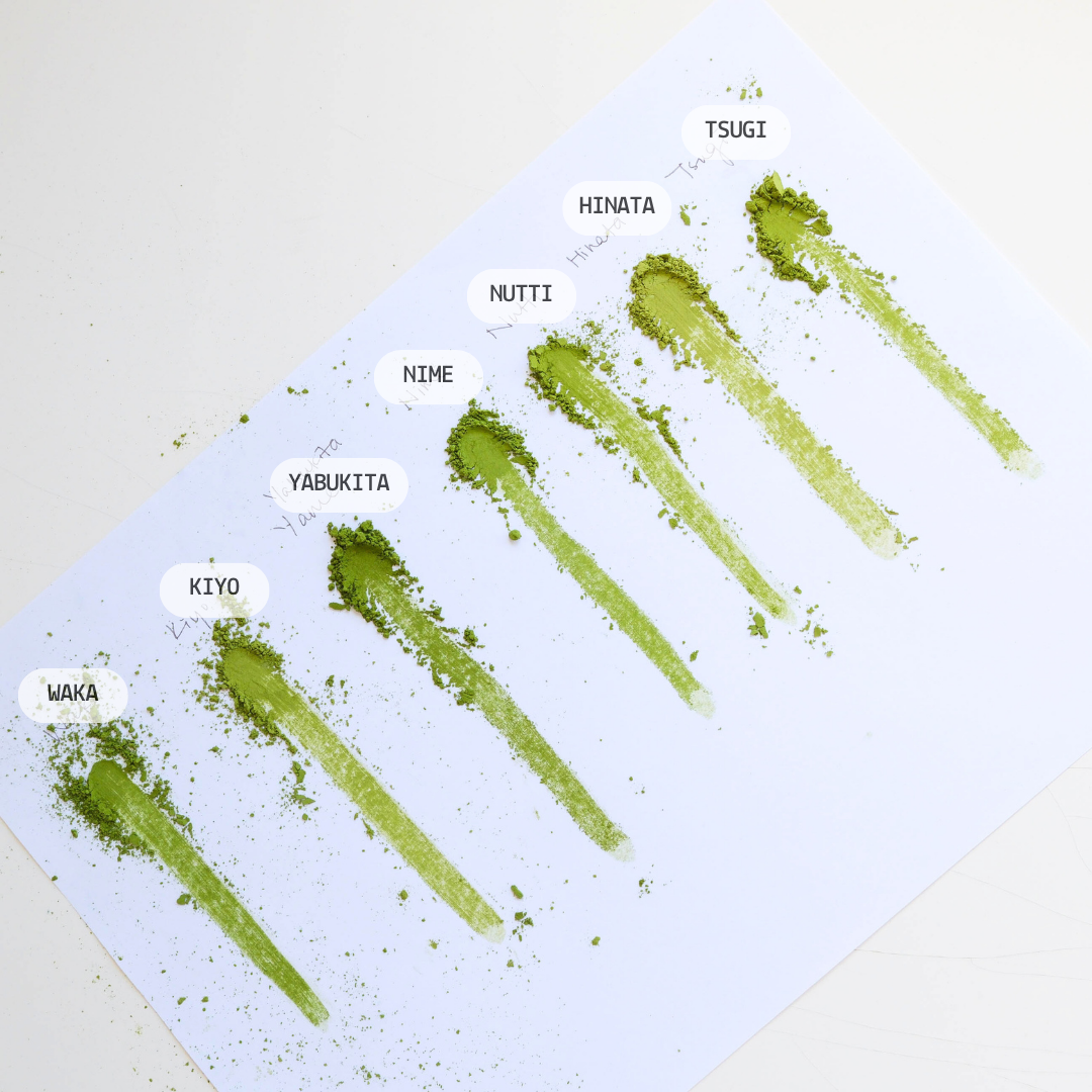 Matcha Kudasai - Premium Yame Matcha NUTTI 100g